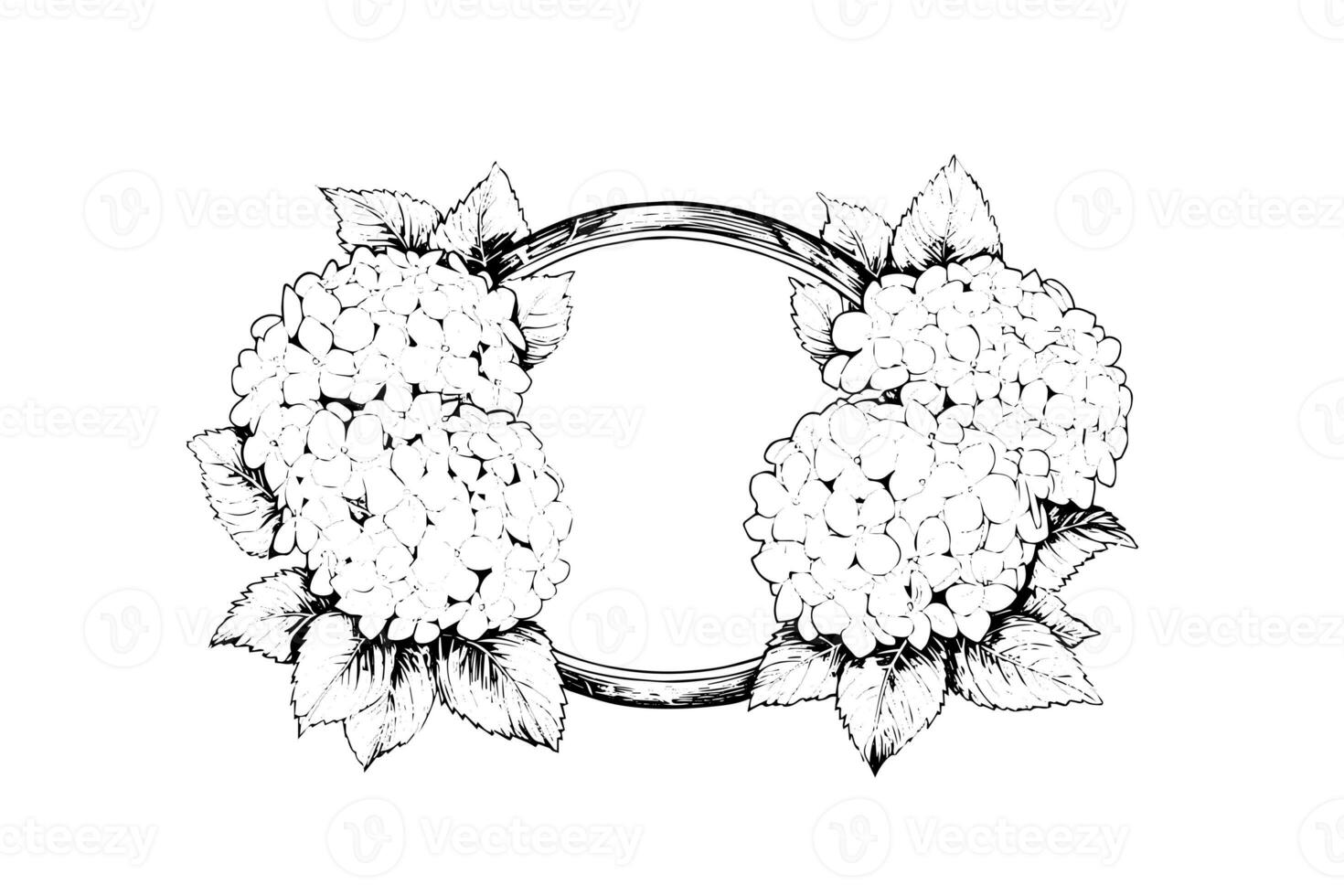 Hand drawn ink sketch hoop with hydrangea flowers. Vector illustration in engraving style. photo