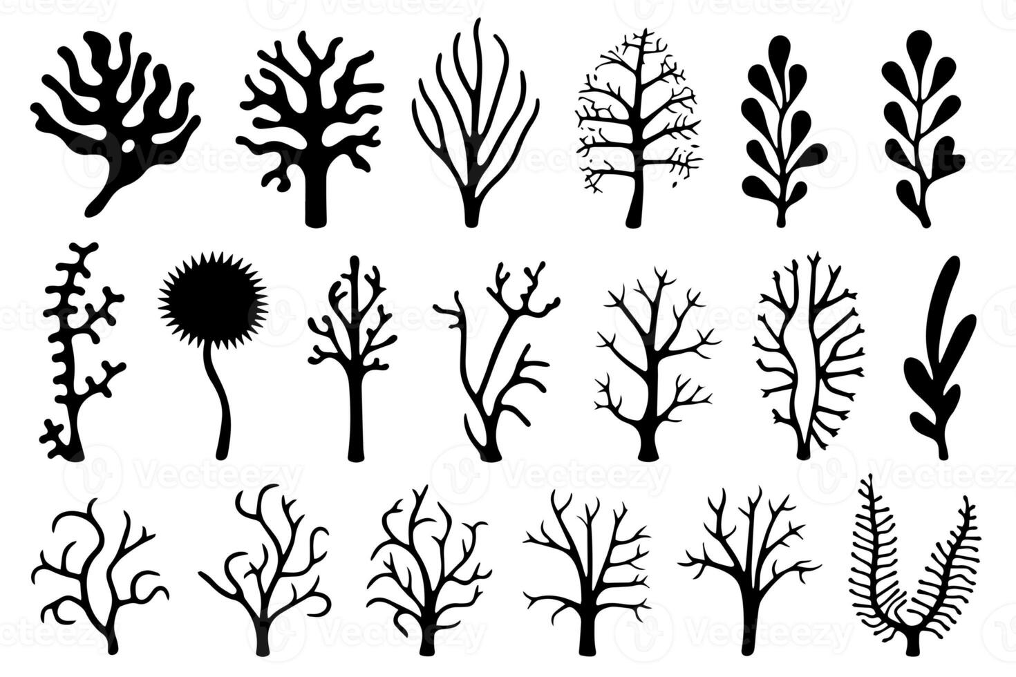 Hand drawn set of corals and seaweed silhouette isolated on white background. Vector icons and stamp illustration. photo