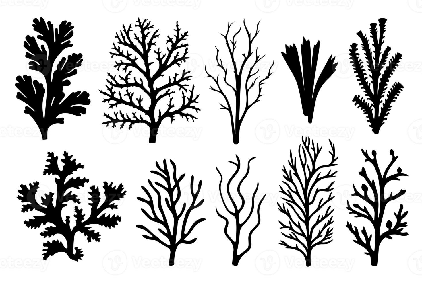 mano dibujado conjunto de corales y algas marinas silueta aislado en blanco antecedentes. vector íconos y sello ilustración. foto