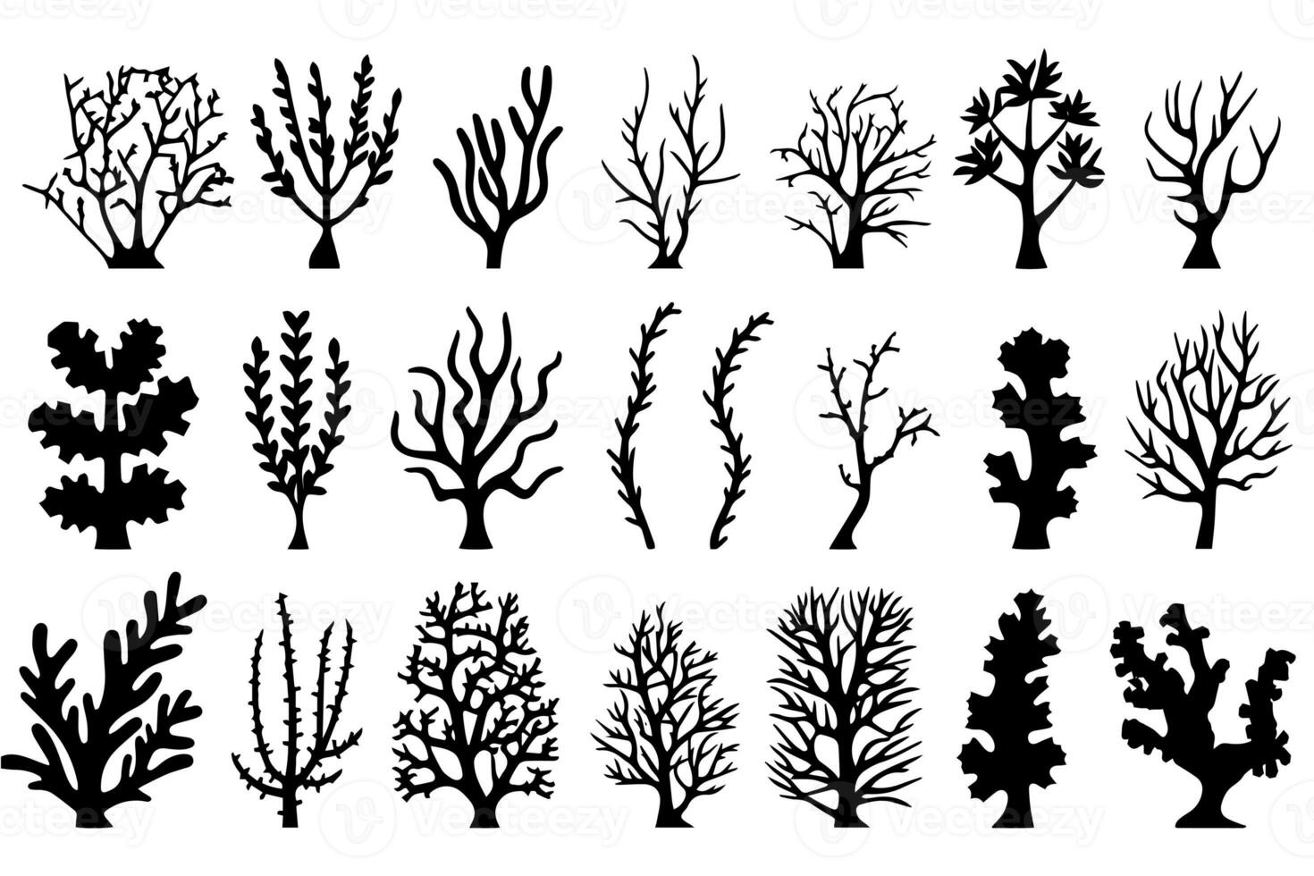 Hand drawn set of corals and seaweed silhouette isolated on white background. Vector icons and stamp illustration. photo