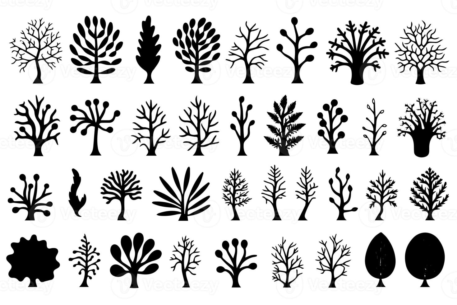 Hand drawn set of corals and seaweed silhouette isolated on white background. Vector icons and stamp illustration. photo