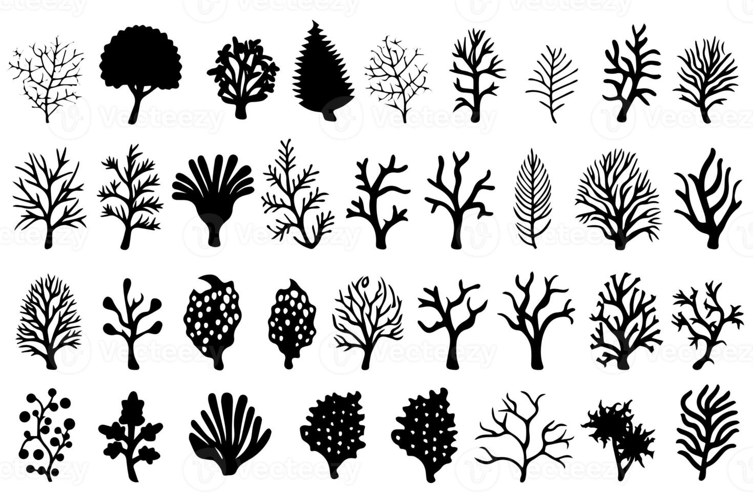 Hand drawn set of corals and seaweed silhouette isolated on white background. Vector icons and stamp illustration. photo