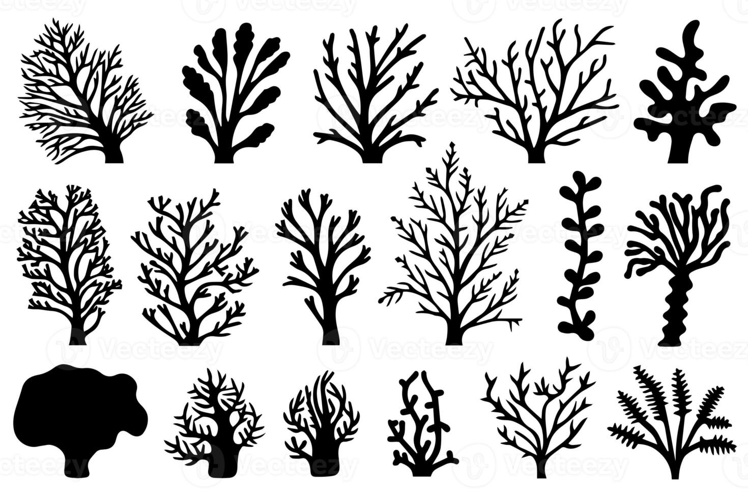 Hand drawn set of corals and seaweed silhouette isolated on white background. Vector icons and stamp illustration. photo