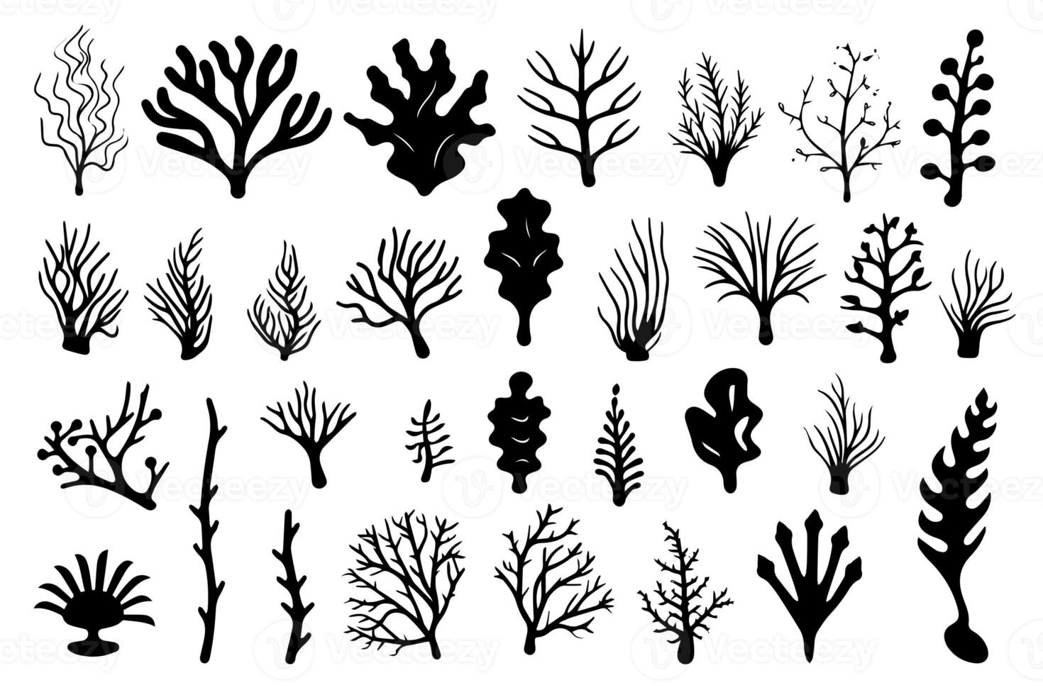 Hand drawn set of corals and seaweed silhouette isolated on white background. Vector icons and stamp illustration. photo