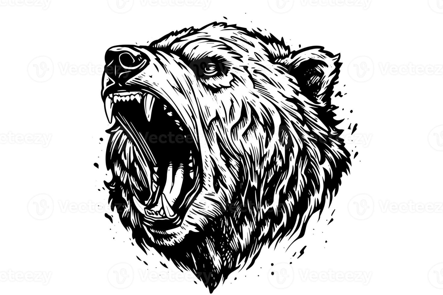 Ink hand drawing sketch bear mascot or logotype head. Vector Illustration in engraving style. photo