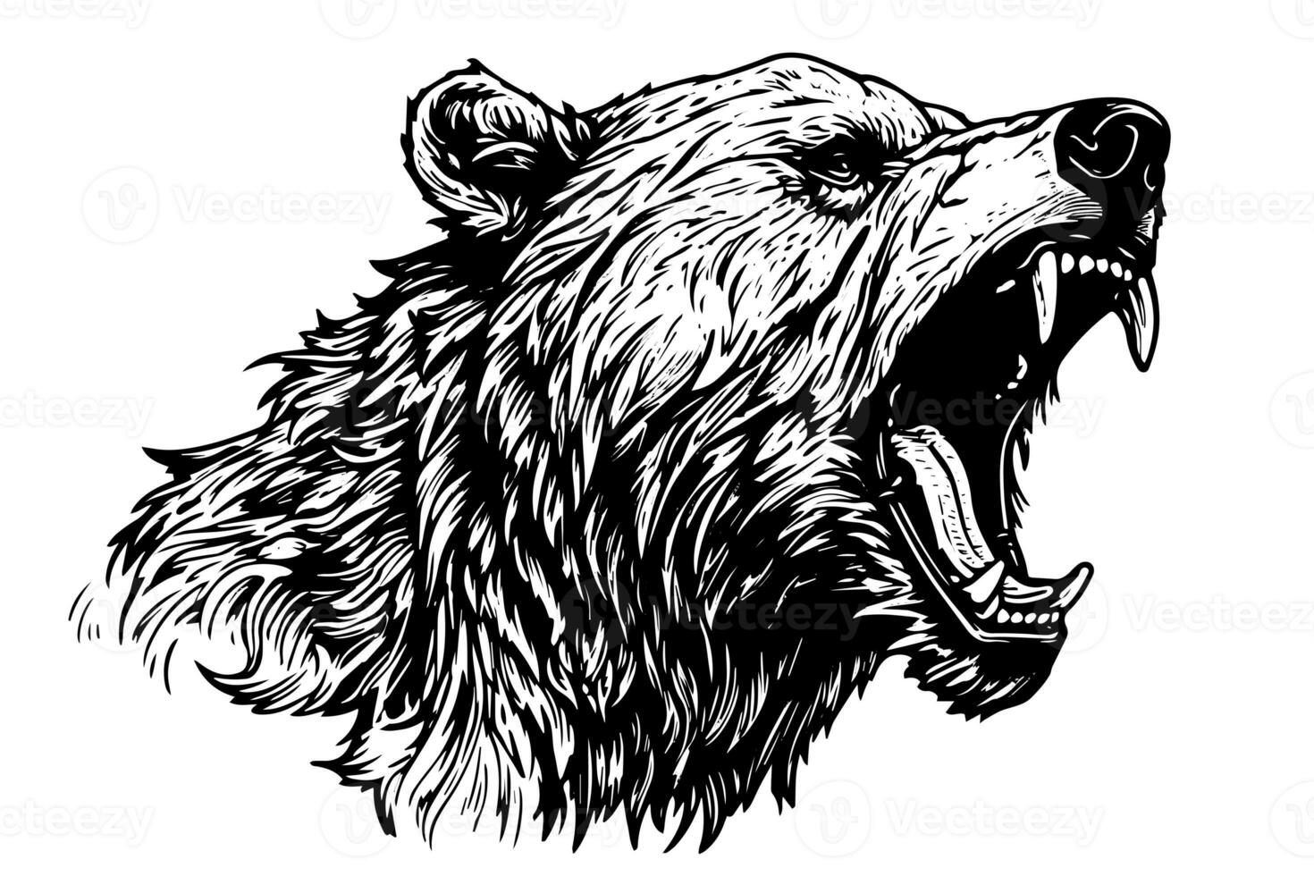 Ink hand drawing sketch bear mascot or logotype head. Vector Illustration in engraving style. photo