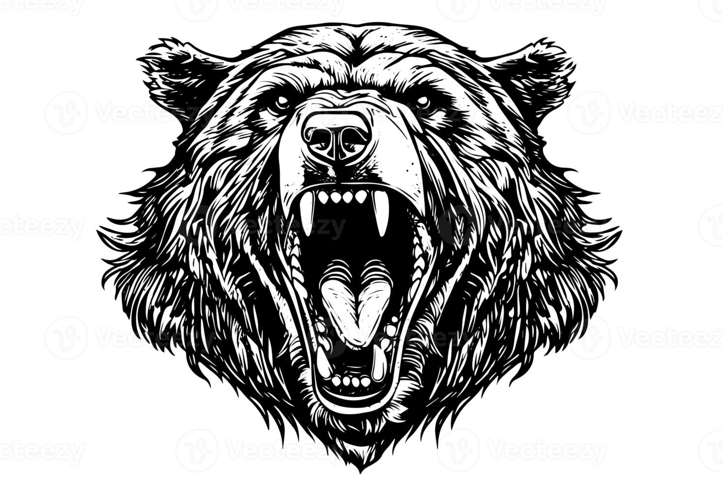 Ink hand drawing sketch bear mascot or logotype head. Vector Illustration in engraving style. photo