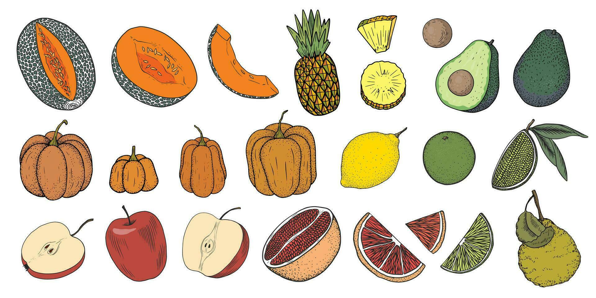 conjunto de frutas y vegetales aislado en blanco antecedentes. gotas de miel melón, palta, calabaza, pomelo, Lima, limón, manzana, piña, bergamota. bocetos con mitades y rebanadas de Fruta vector