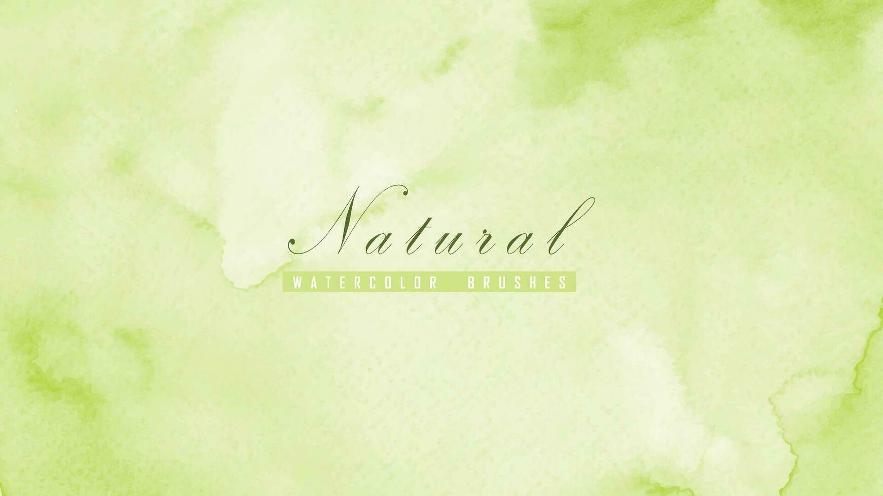 Abstract natural background designed with green watercolor stains vector