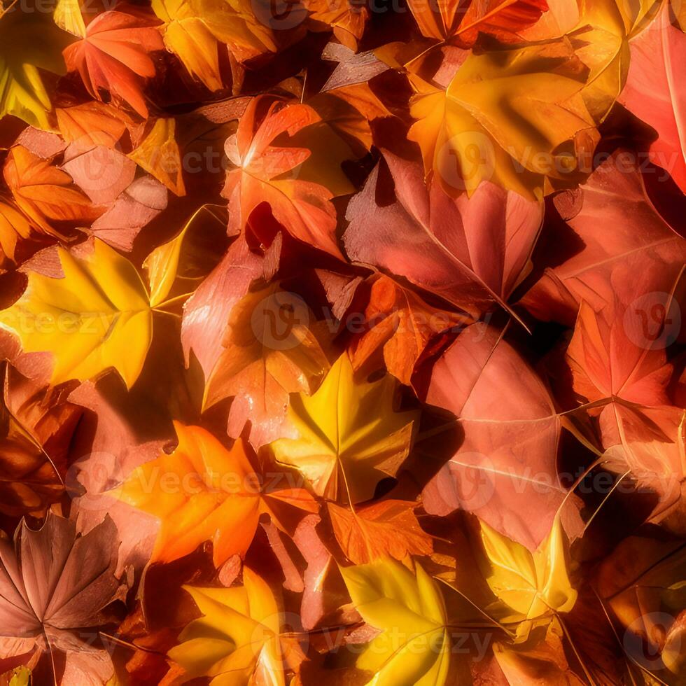 Autumn orange, leaves fall abstract background, leaf random element outdoor photo