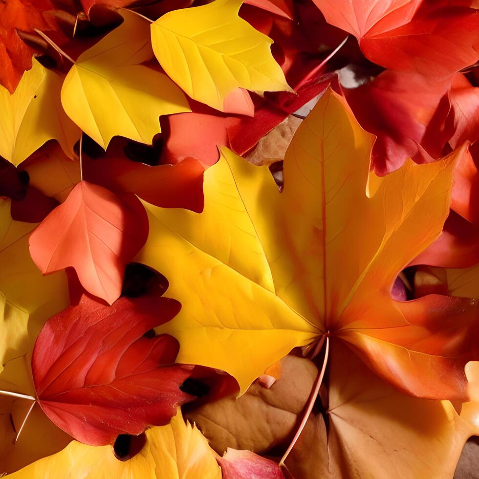 Autumn orange, leaves fall abstract background, leaf random element outdoor photo