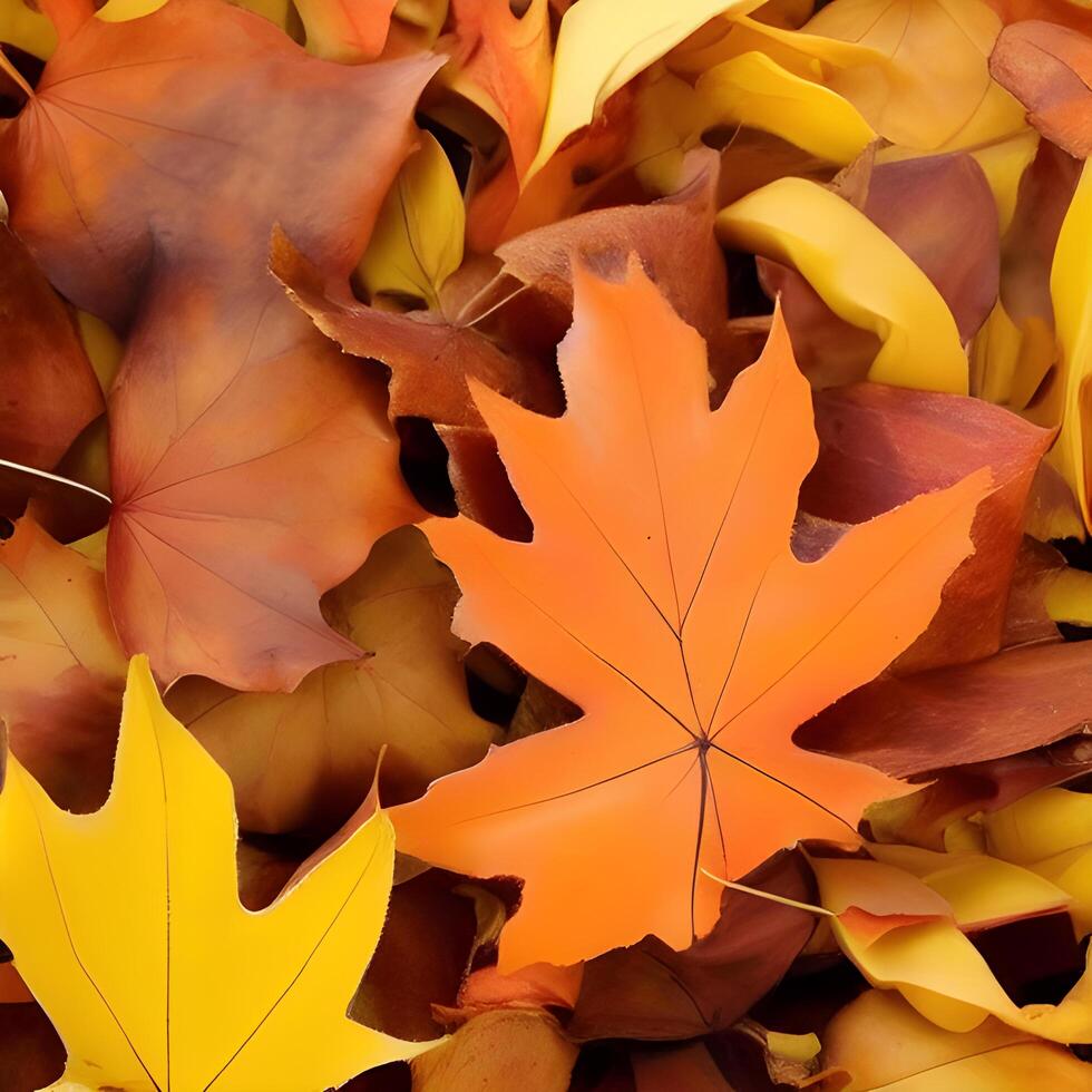 Autumn orange, leaves fall random background, leaf abstract element outdoor photo