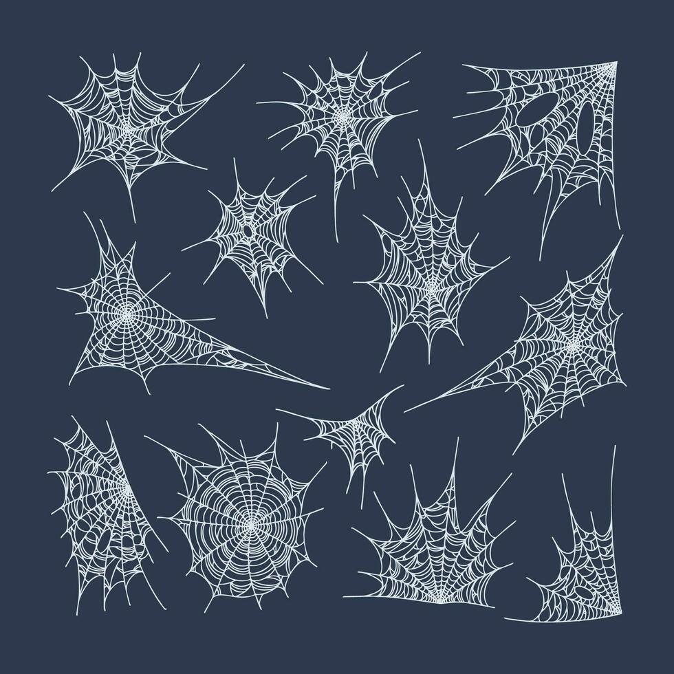 Cobweb vector illustration. Spider webs