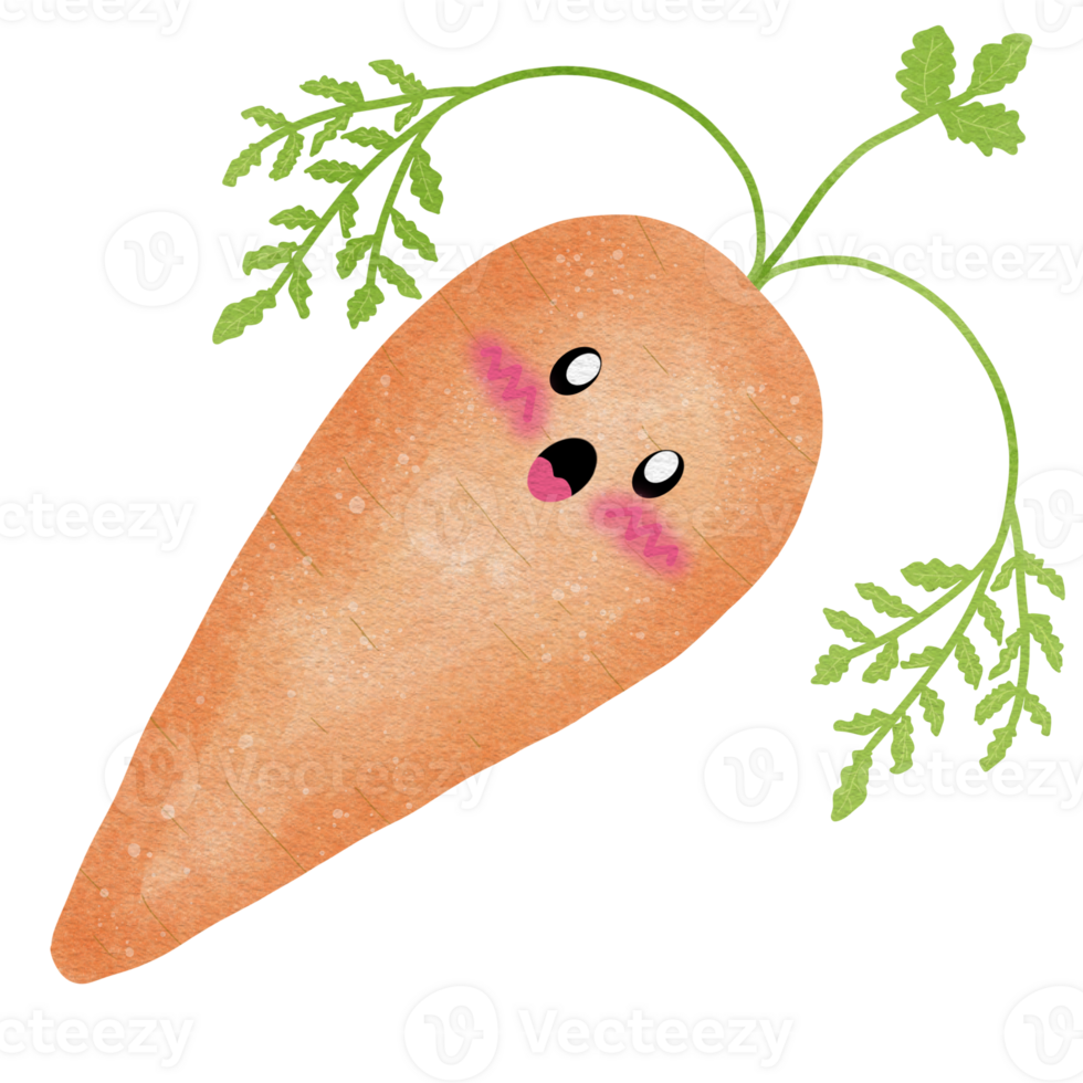 Cute carrot with leafs png