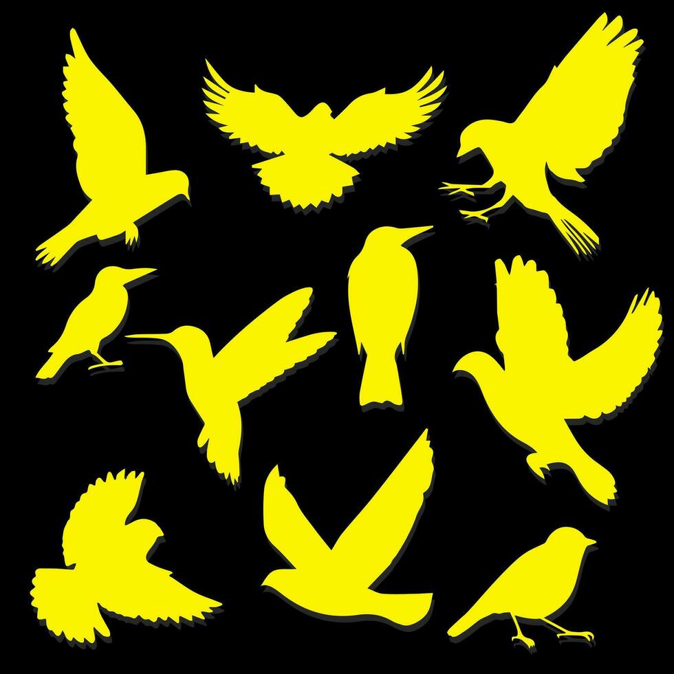 Bird silhouette design vector. Collection of bird silhouette design vector