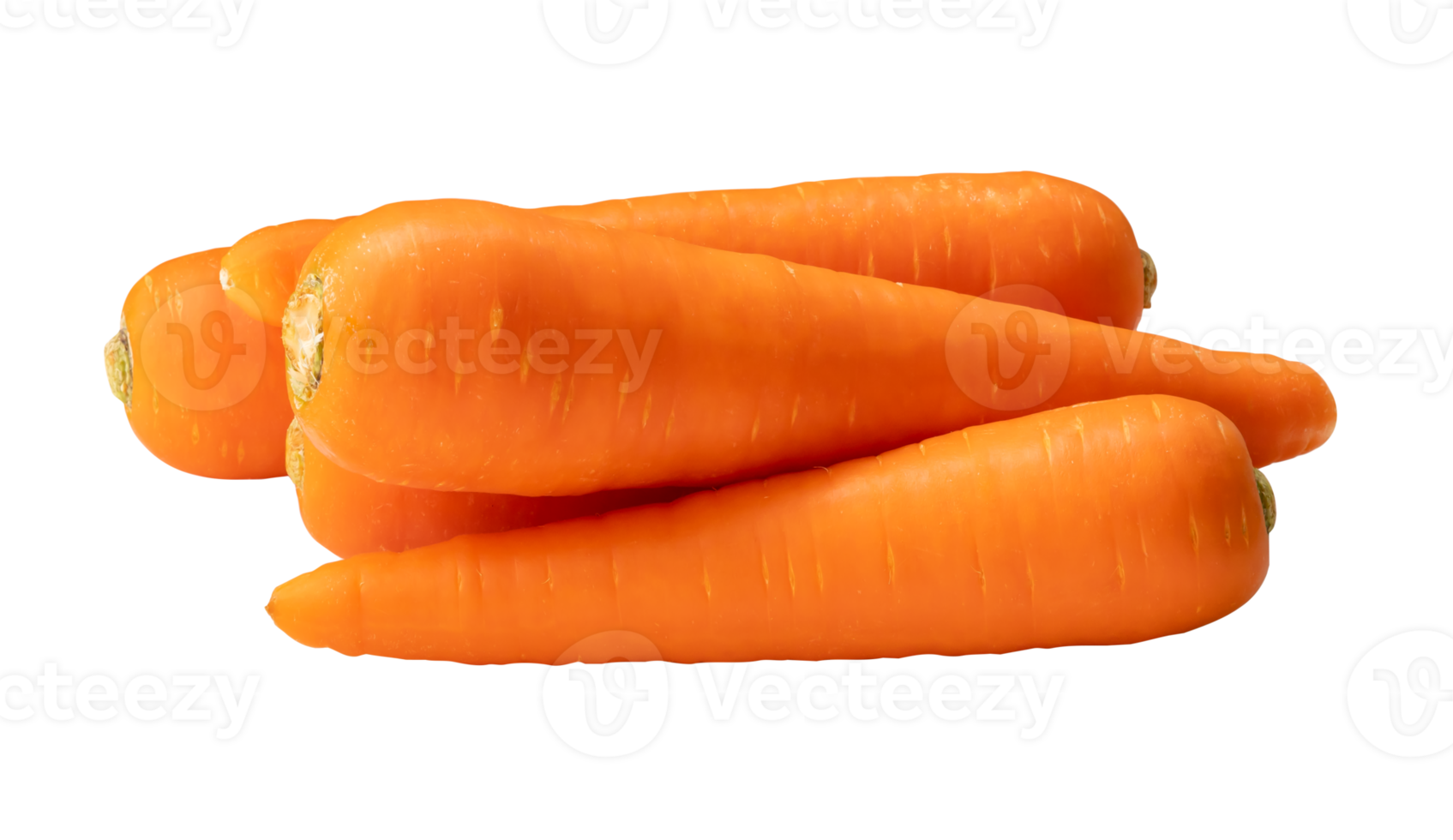 Fresh orange carrots in stack isolated with clipping path in png file format Close up of healthy vegetable root
