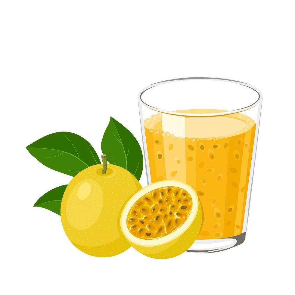 Vector illustration, a glass of passion fruit juice or Passiflora edulis, with passion fruit and green leaves, isolated on white background.