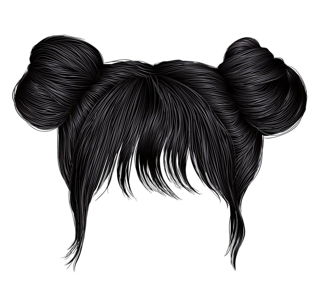 two buns  hairs with fringe brunette black  dark colors . colors . women fashion beauty style . vector
