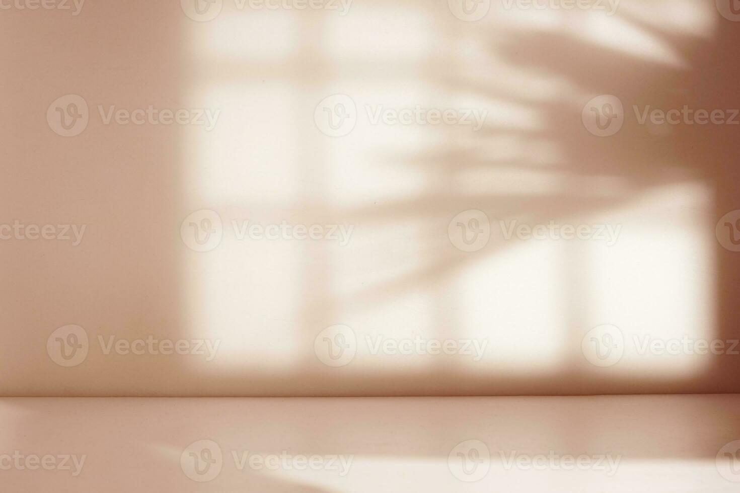 Empty room with palm leaf shadow photo