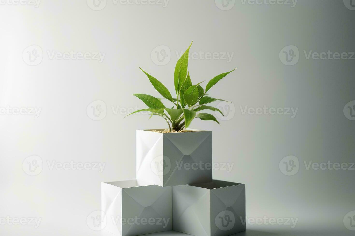 Concrete pot. Green succulent plant in modern geometric concrete planter isolated on white . AI Generated photo