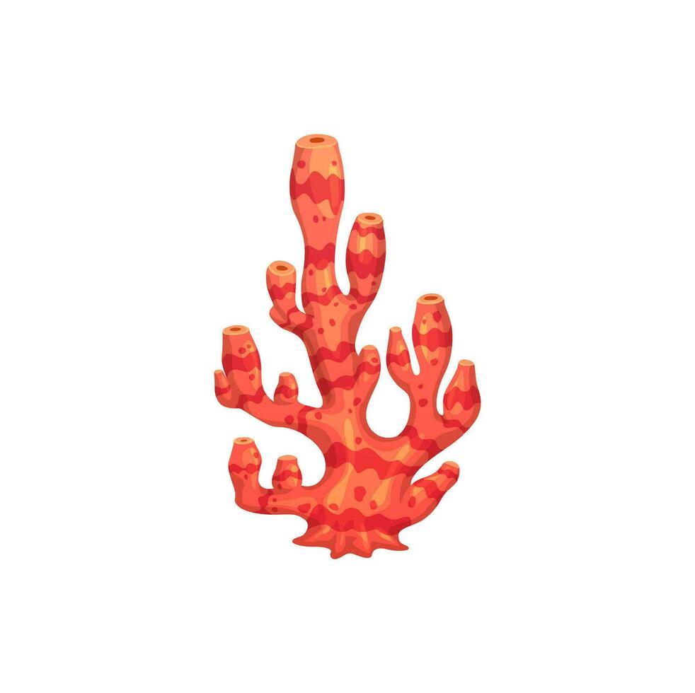 Cartoon underwater coral, seaweed plant, sea algae vector