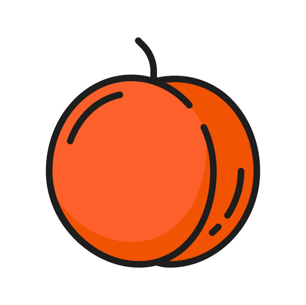 Peach whole plum or apricot raw fruit color icon vector