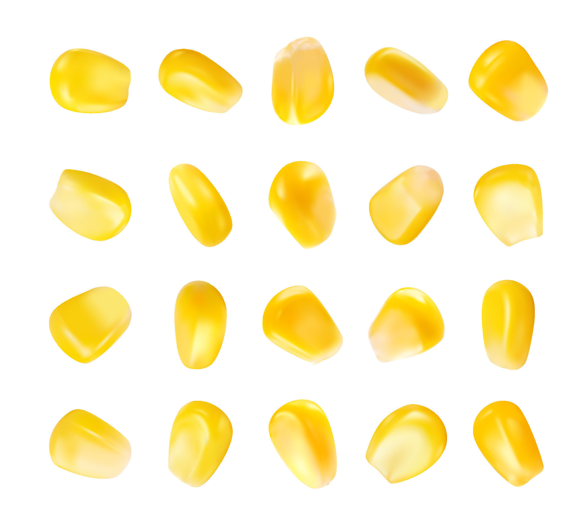 Realistic isolated yellow ripe corn grain seeds 27973910 Vector Art at ...