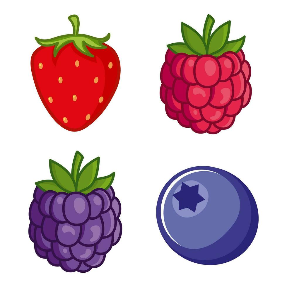 vector ilustración de fresas, frambuesas, moras, arándanos salvaje bayas en un blanco antecedentes.