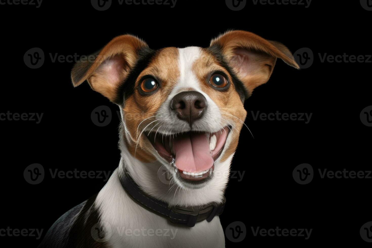 cute dog on black background, AI Generated photo