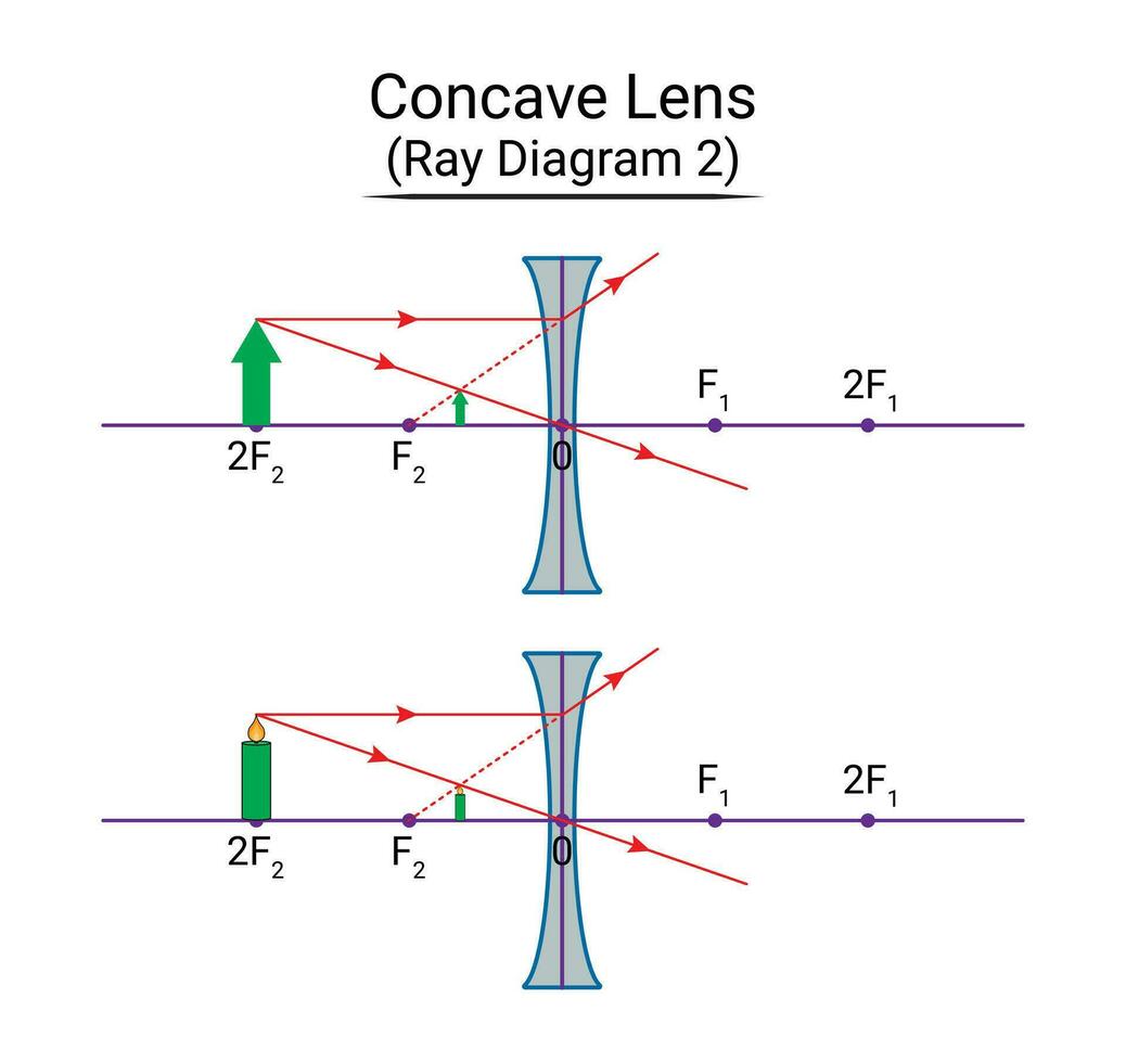 cóncavo lente rayo diagrama 2 vector