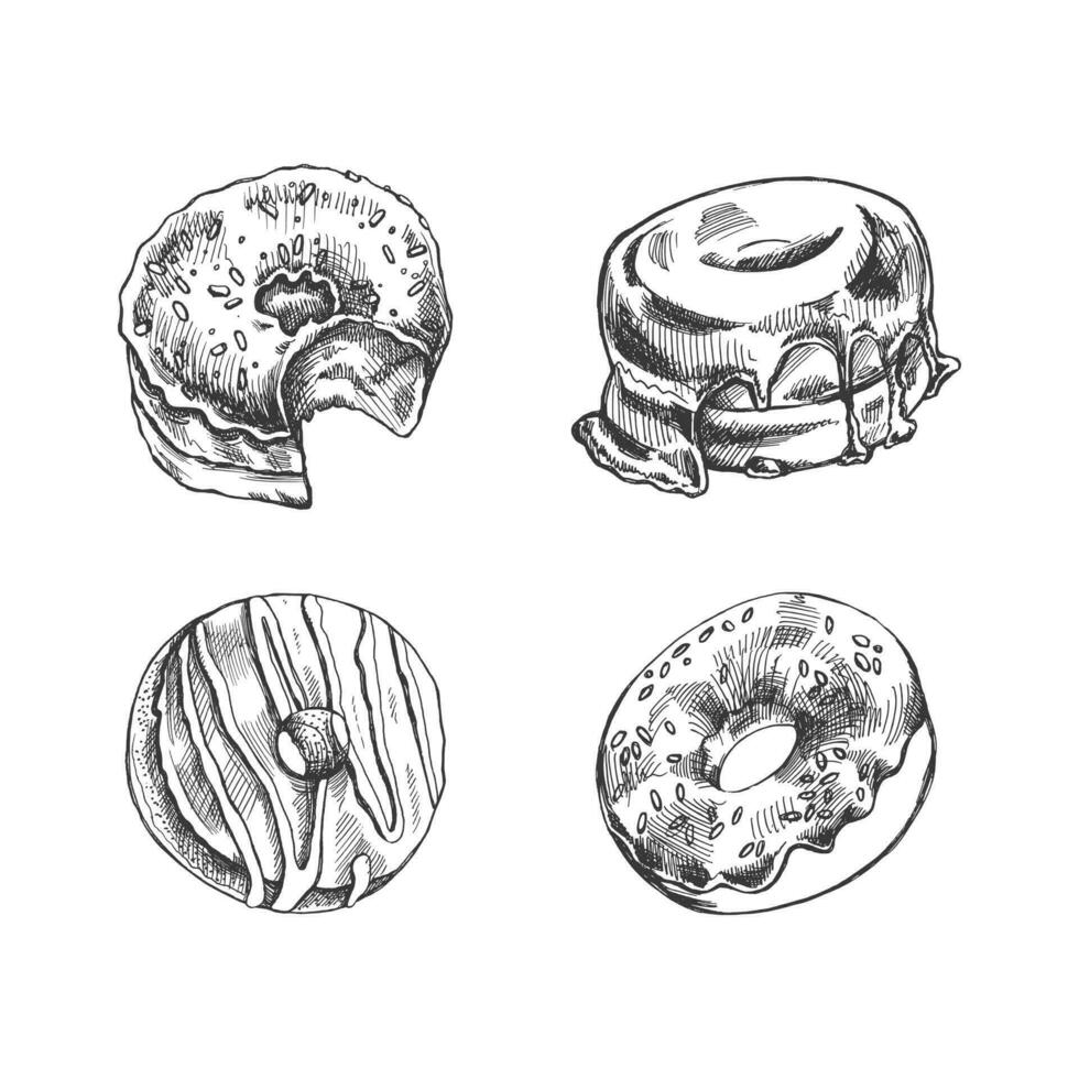 A hand-drawn sketch of a set of donuts. Top view. Vintage illustration. Pastry sweets, dessert. Element for the design of labels, packaging and postcards. vector
