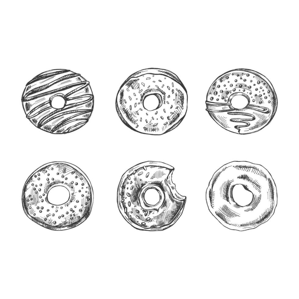 A hand-drawn sketch of a set of donuts. Top view. Vintage illustration. Pastry sweets, dessert. Element for the design of labels, packaging and postcards. vector