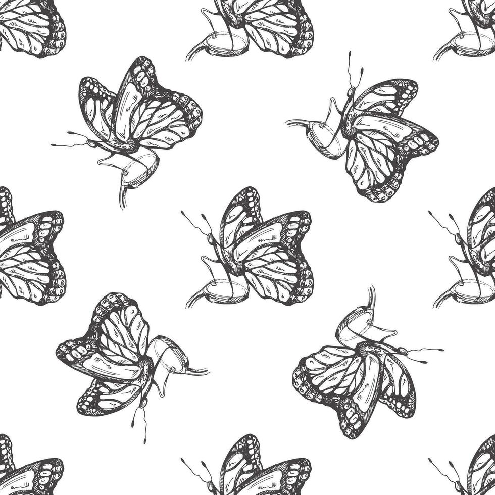 mano dibujado mariposa sin costura modelo. monocromo insectos garabatear. negro y blanco Clásico elementos. vector bosquejo. detallado retro estilo.