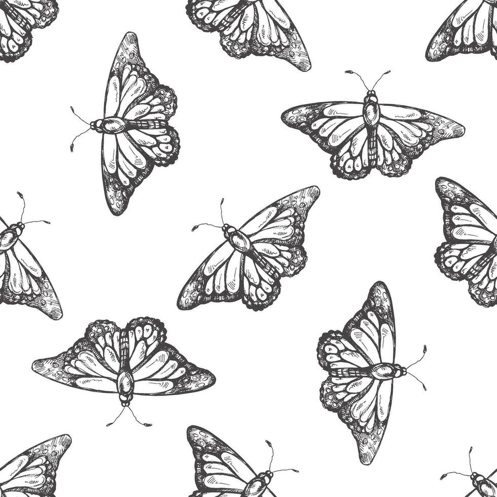 Hand drawn butterfly seamless pattern. Monochrome insects doodle. Black and white vintage elements. Vector sketch. Detailed retro style.