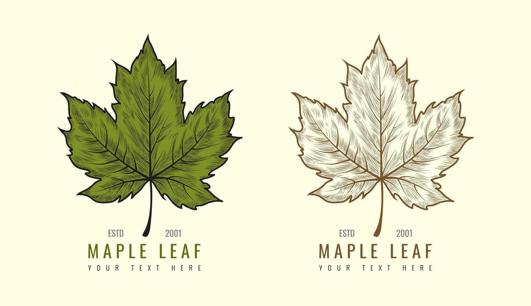 Hand Drawn Vector Vintage Leaf Logo. Maple Leaf Sketch Logo Concept.
