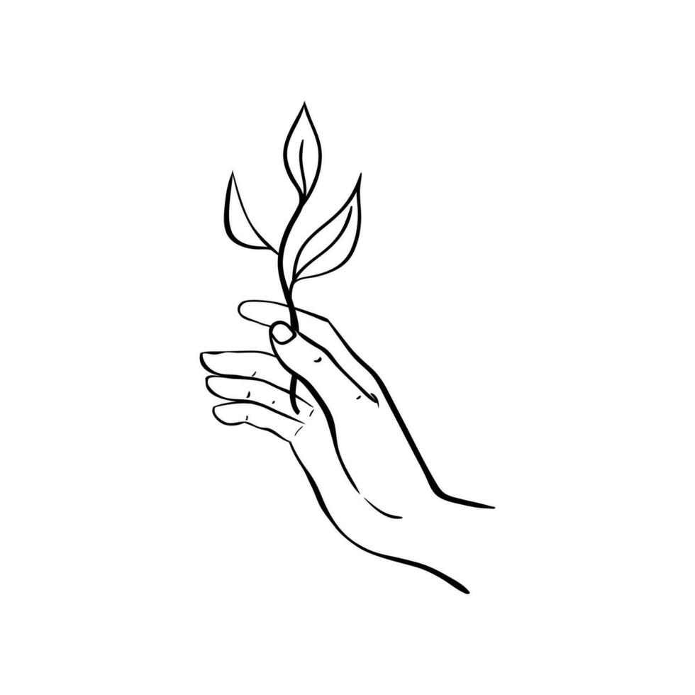 Hand holds a sprig of tea icon, drawn in a sketch style. Icon for packaging tea, ingredient leaves vector