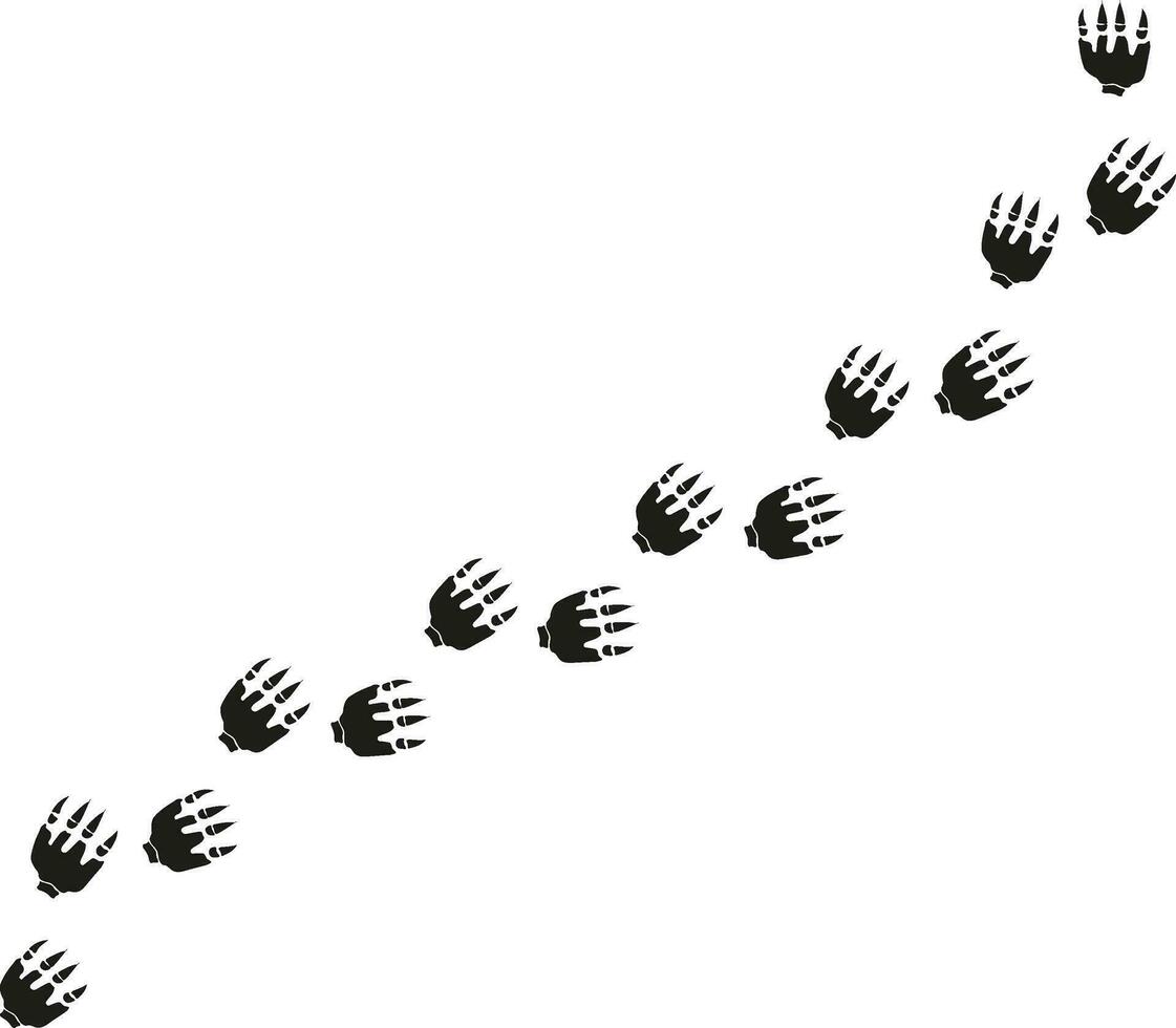 Smooth pattern line silhouette hand drawn dragon paw print vector