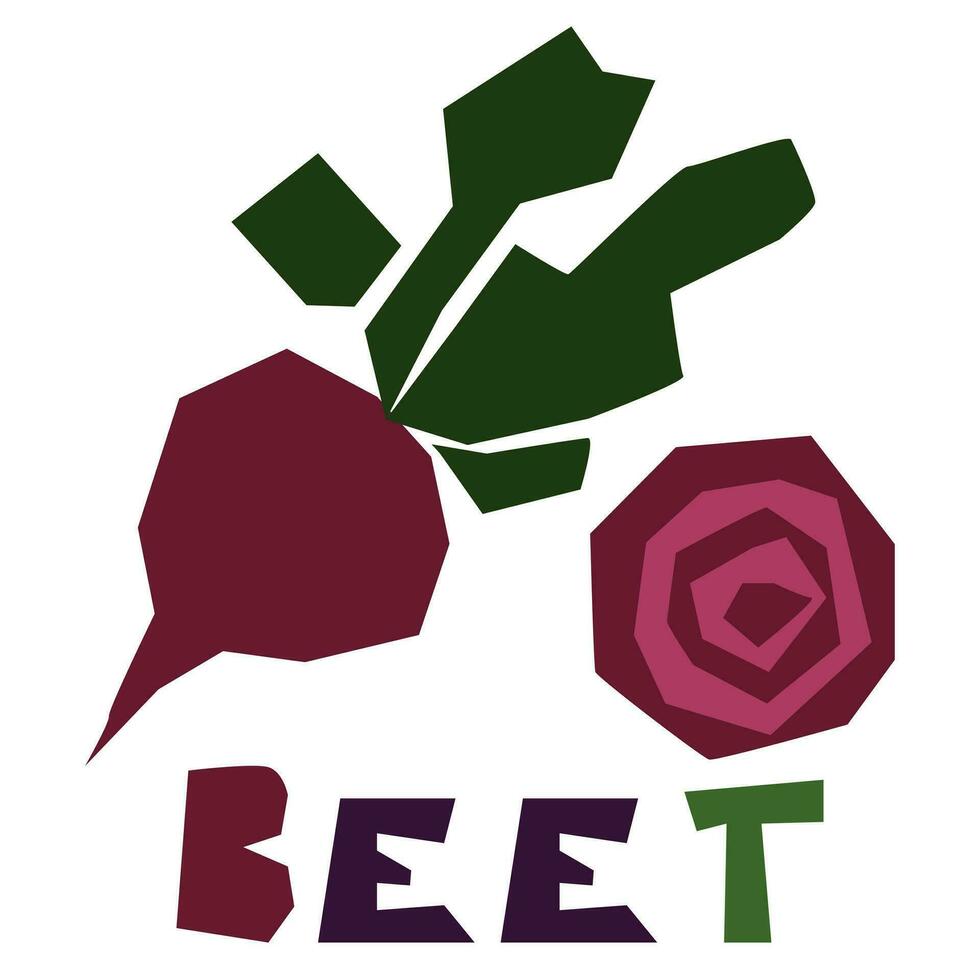 Beet, beetroot, whole and in section, is highlighted on a white background. The original signature is burak. Products from the farmer's market, organic food Geometric stylized flat vector