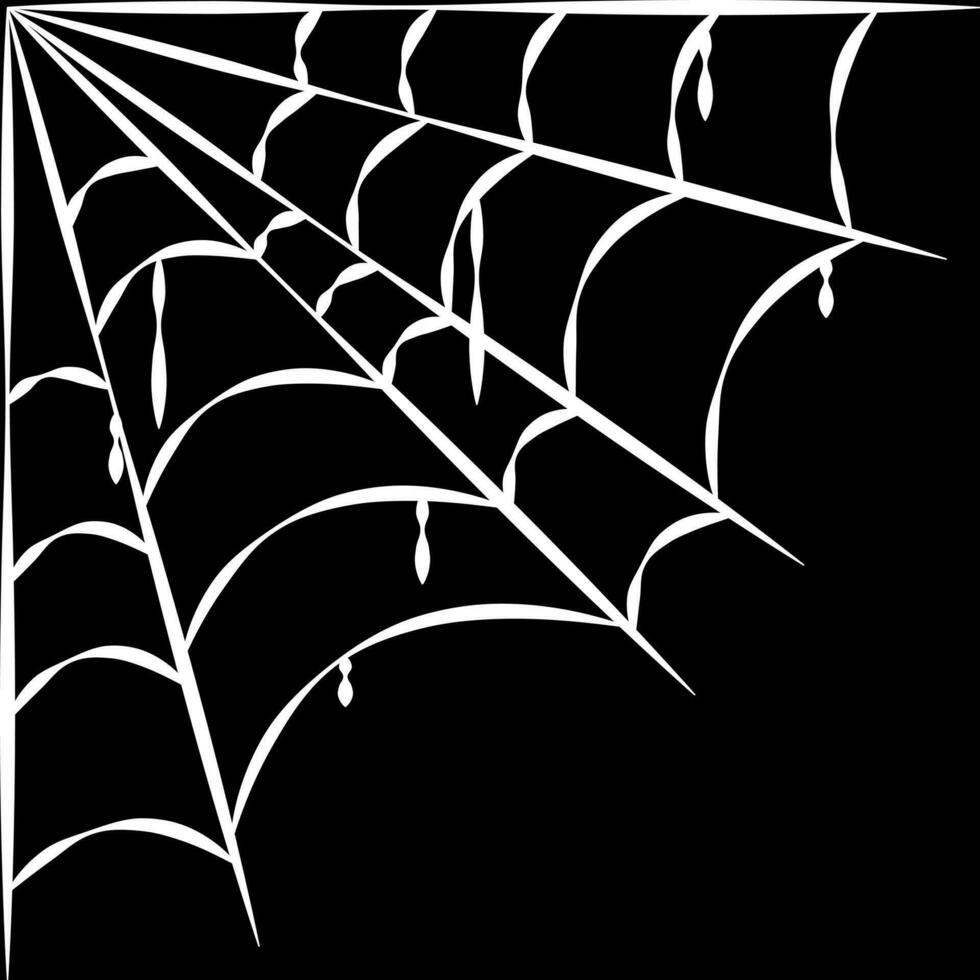 Conor top spider web halloween vector