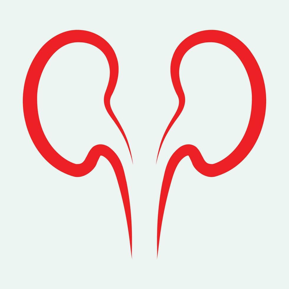 Kidney icon vector. vector