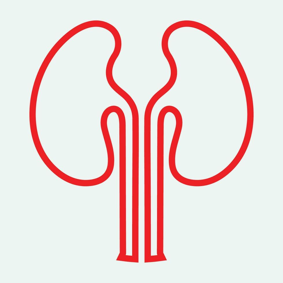 Kidney icon vector. vector