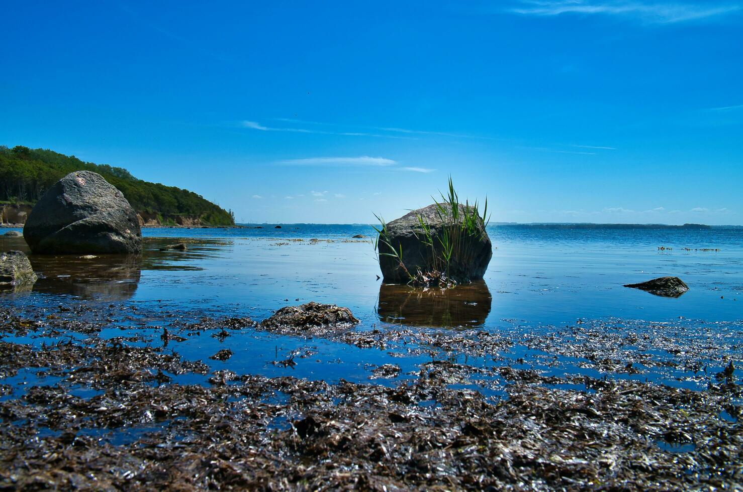Single rock in the sea with grass. The stone lies in the Baltic Sea in sunshine. photo