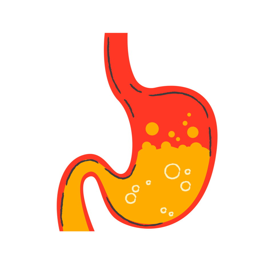 Cartoon Stomach  Generative Ai png