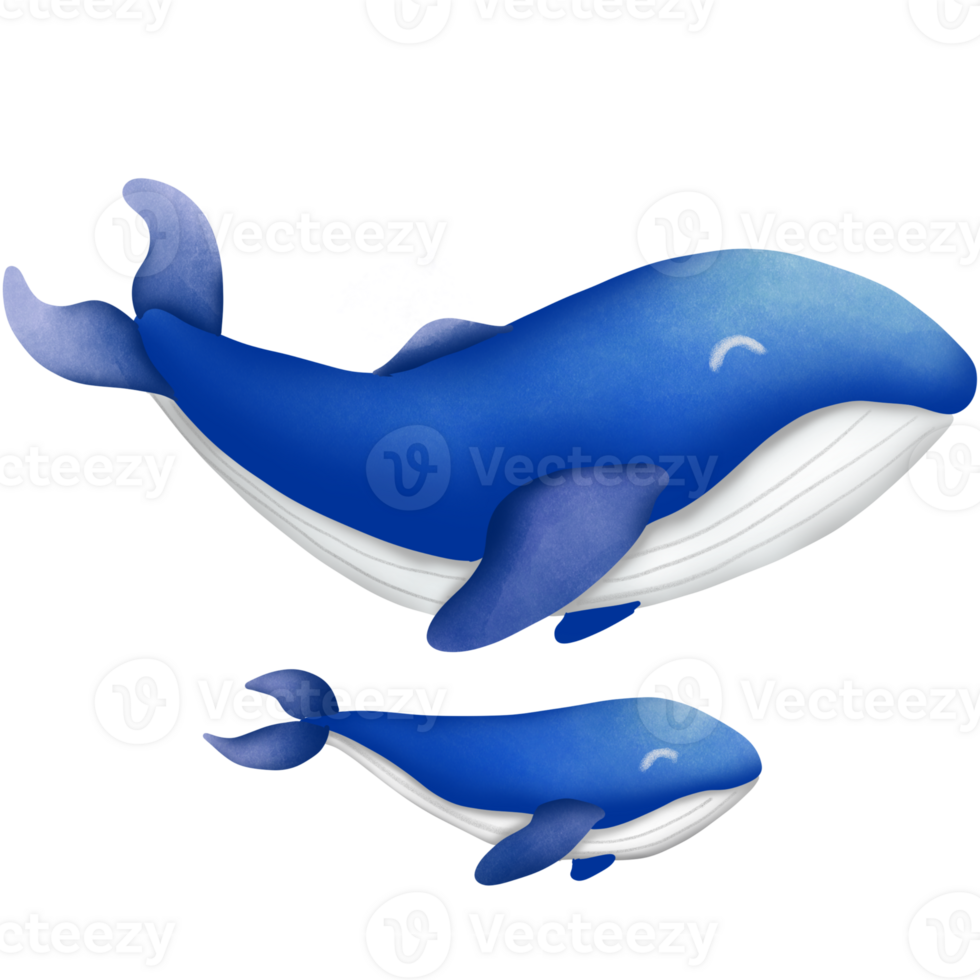 a azul baleia png