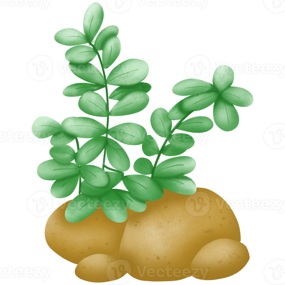Green tree with brown stone png