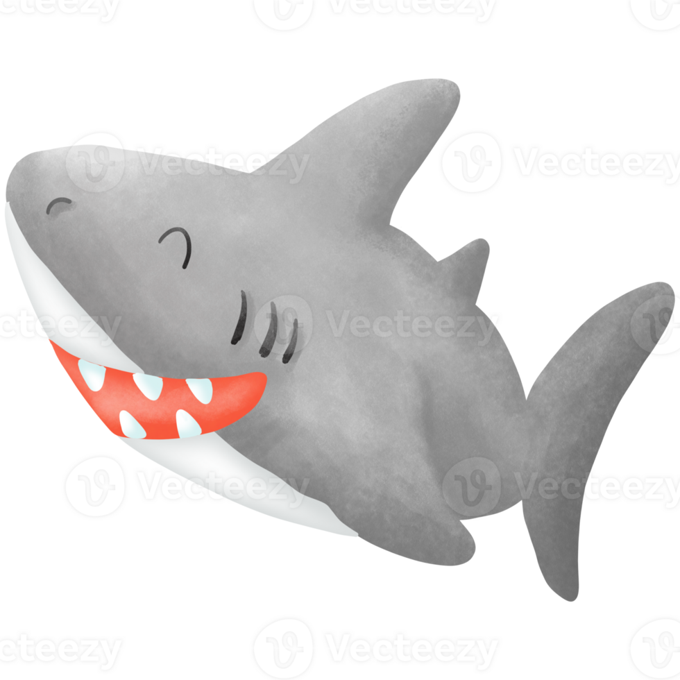 The cute shark png