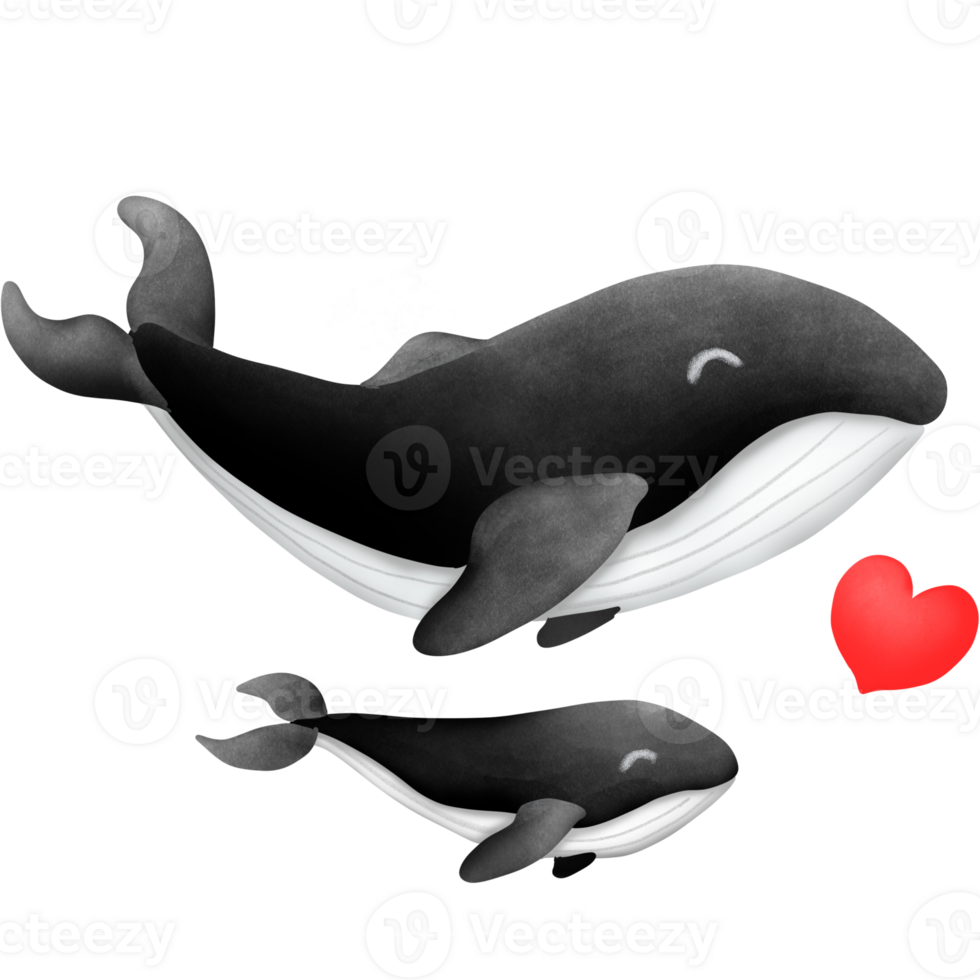 The black whale png