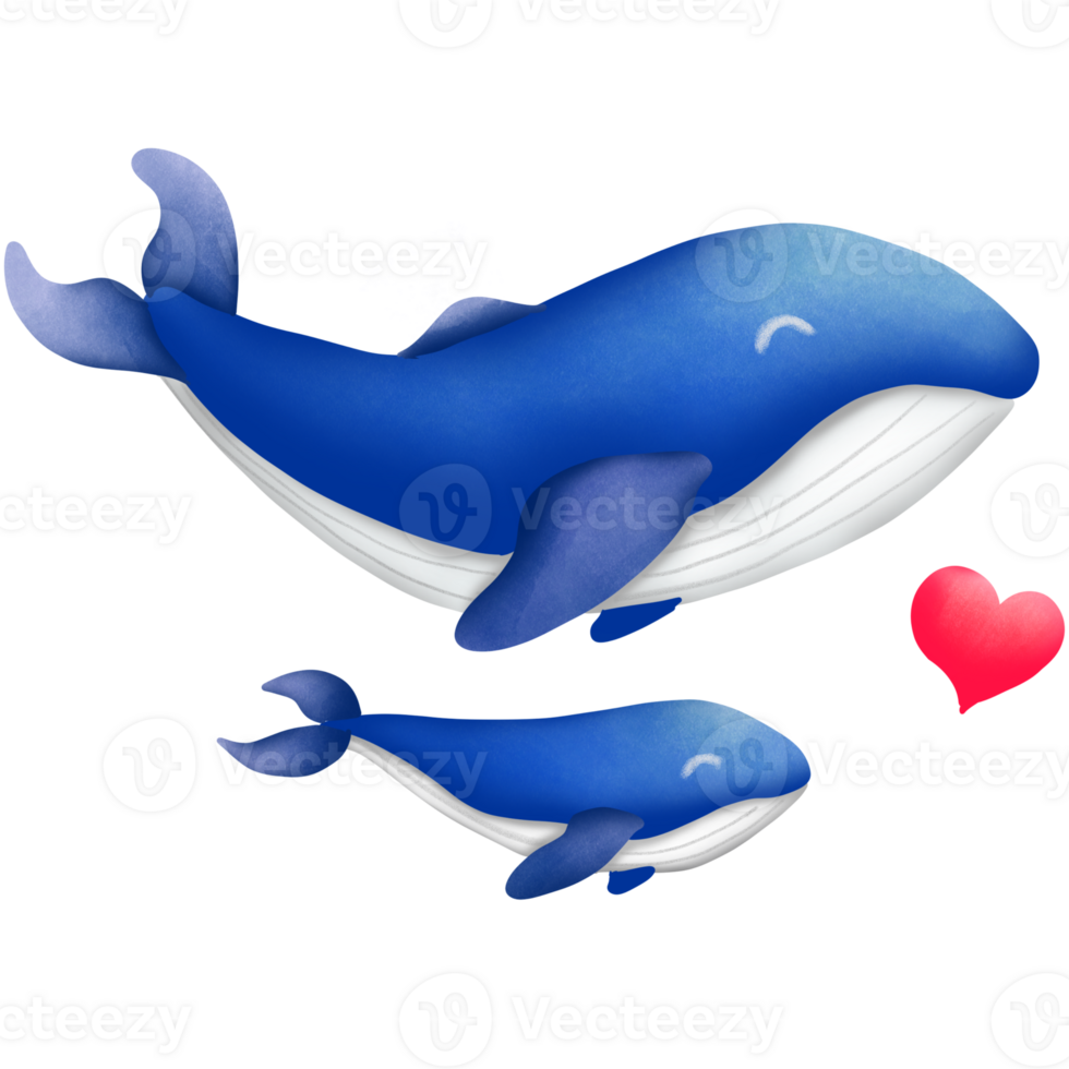 The blue whale png