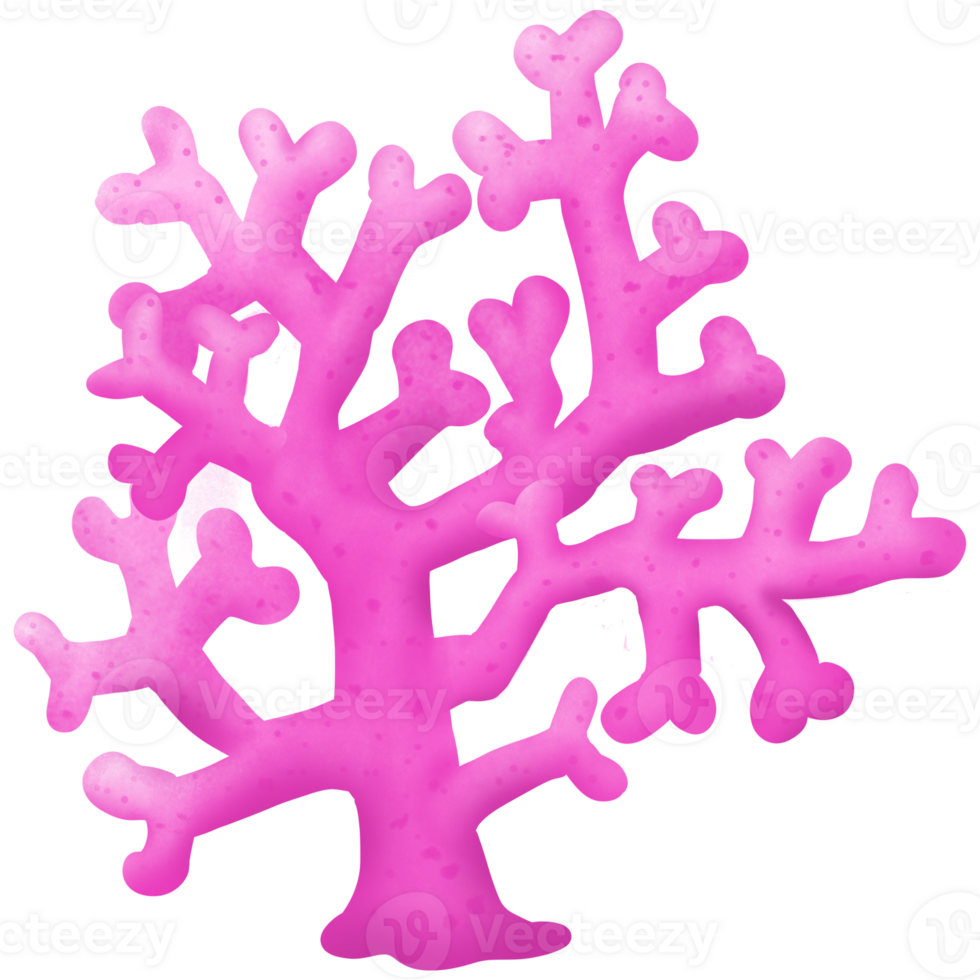 Pink coral undersea png