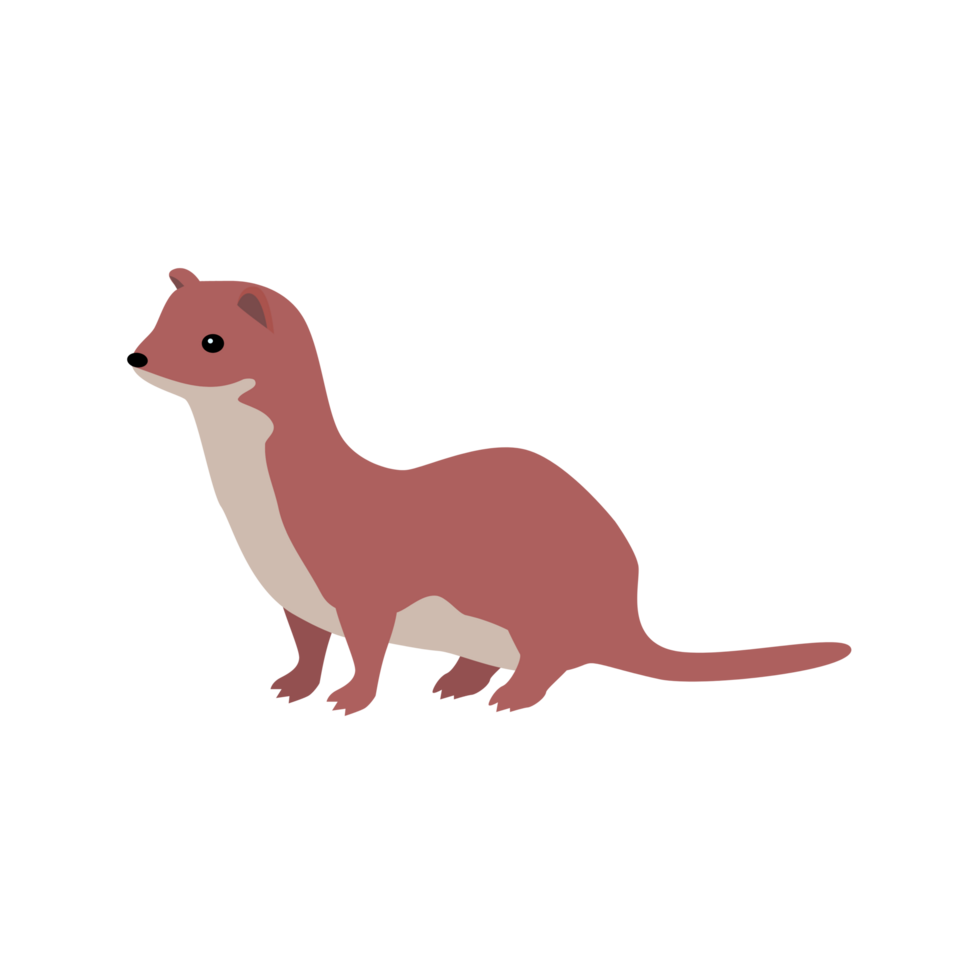Weasel Ermine Sable  Generative Ai png